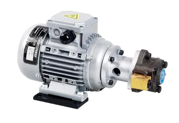 BM Series Cycloidal Pump