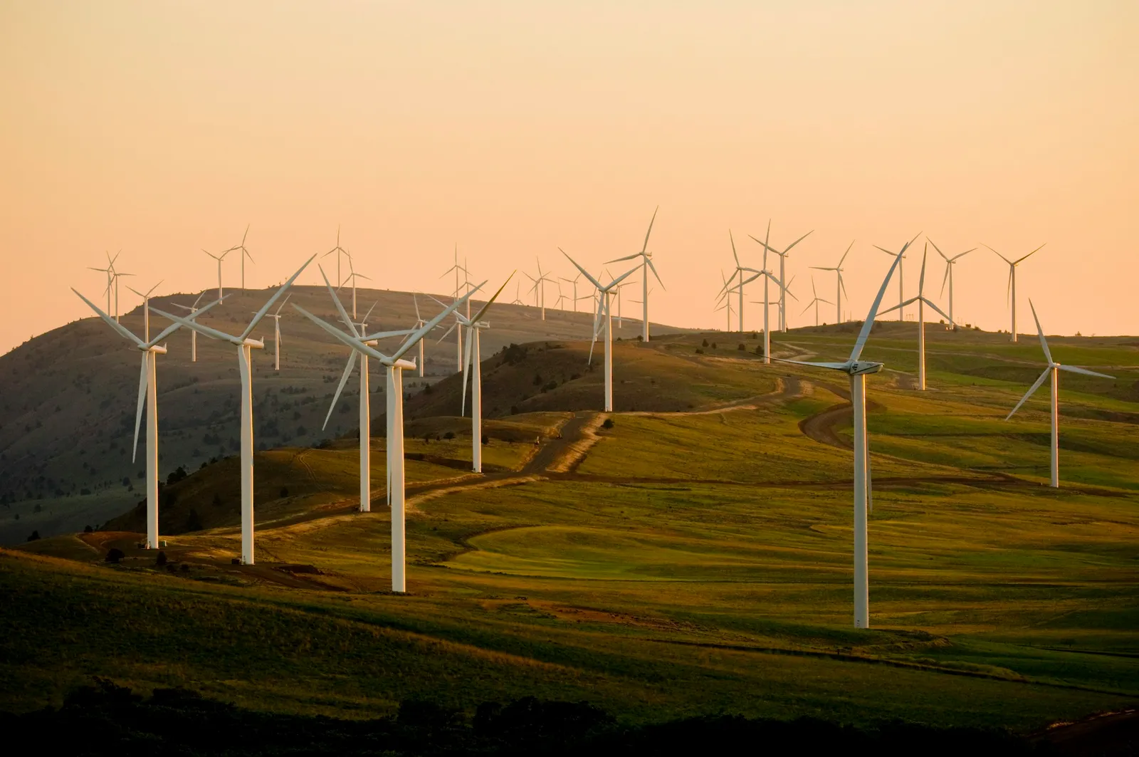 Wind turbines on a wind farm